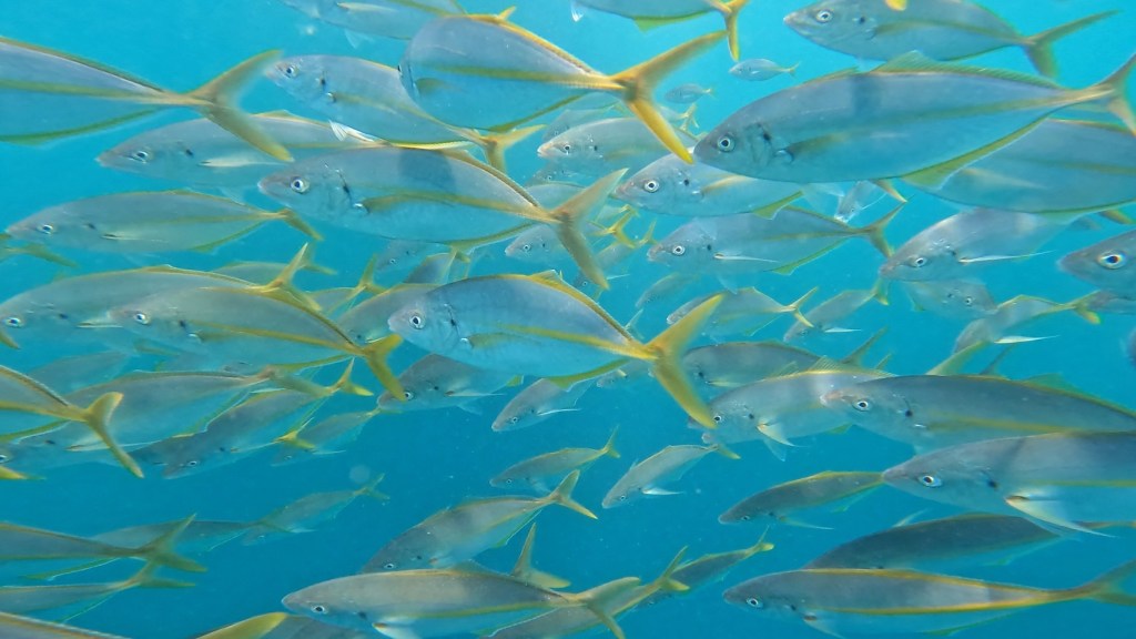 届いてますよー。