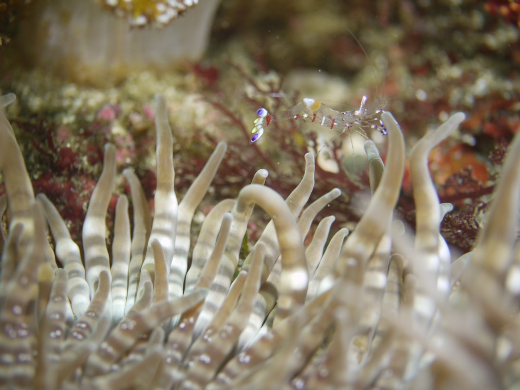 GW・6日目　3ボート２ビーチ