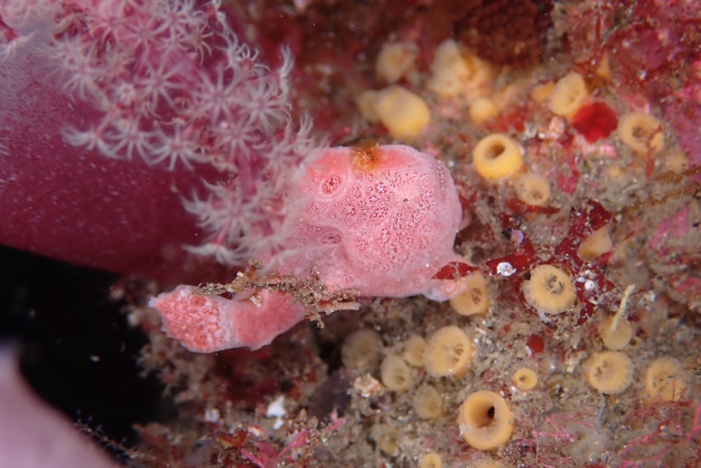 GW７日目　３ボート１ビーチ１ボート