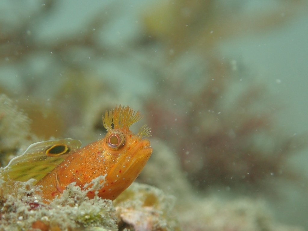 GW・８日目。プチボート