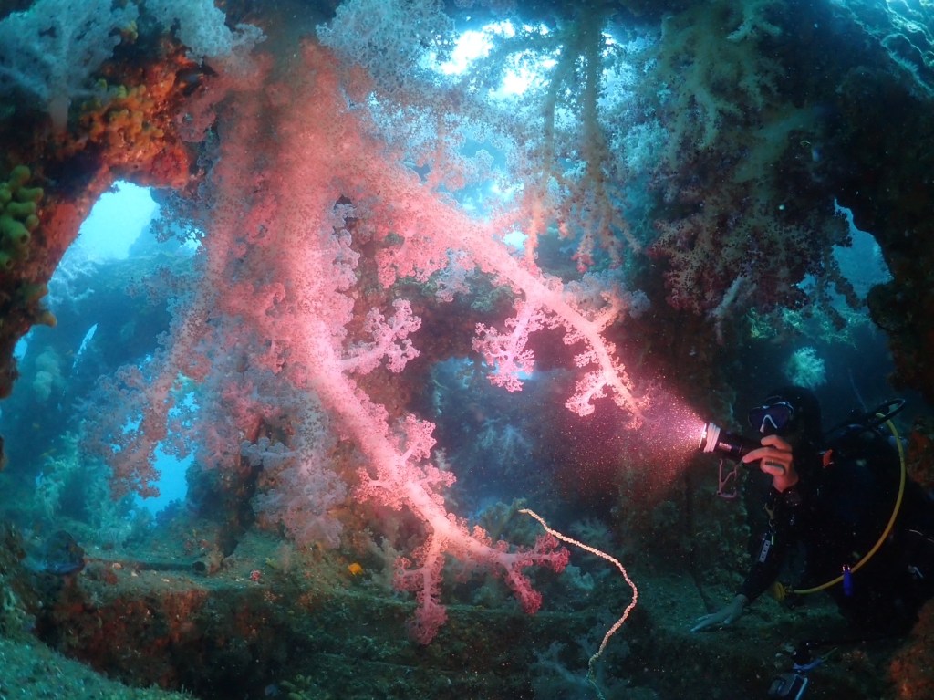 波左間３ボート・鵜原２ビーチ