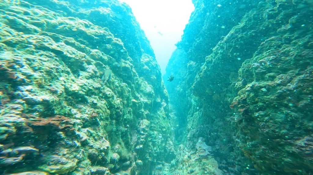 NEWポイント・鵜原島