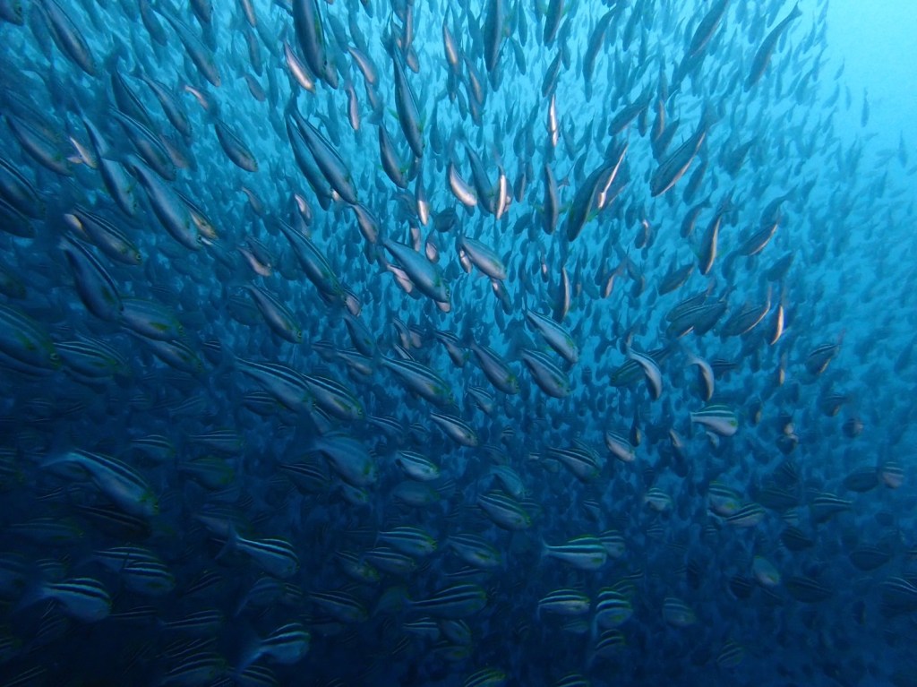 西川名３ボート