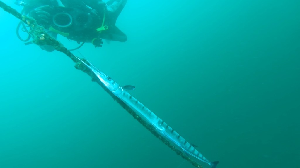 勝山３ボート・鵜原２ビーチ