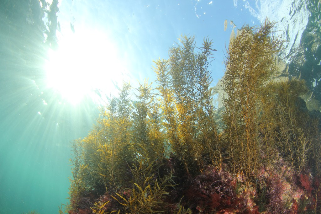 風が続きます。