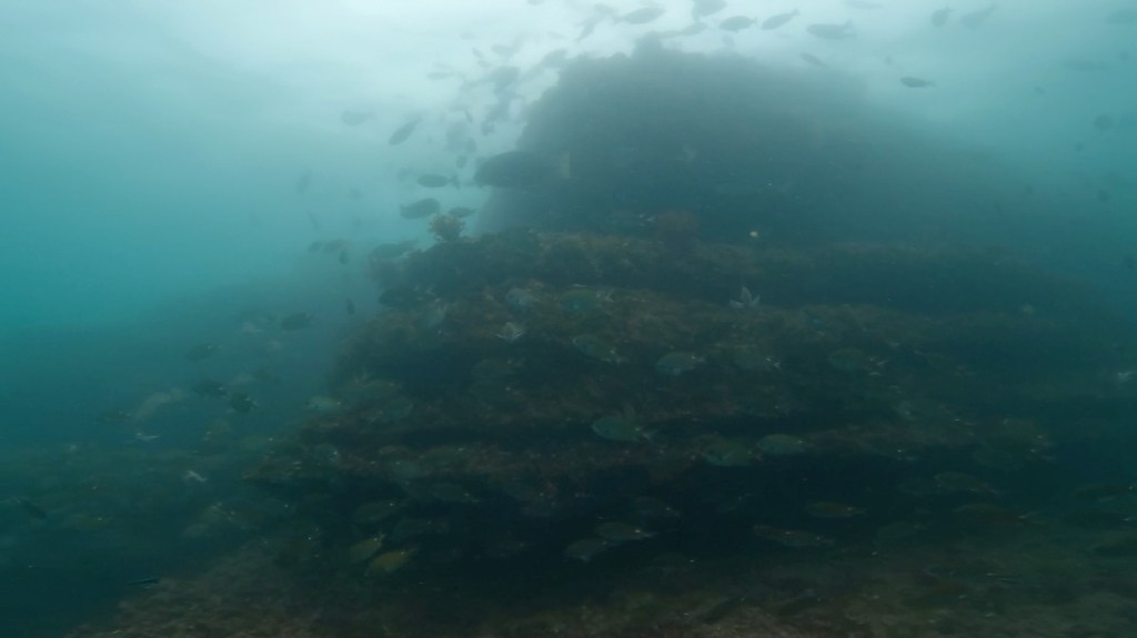 勝浦・鵜原１ビーチ１ボート