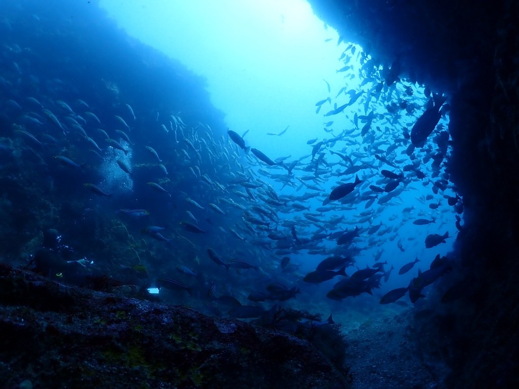 西川名３ボート