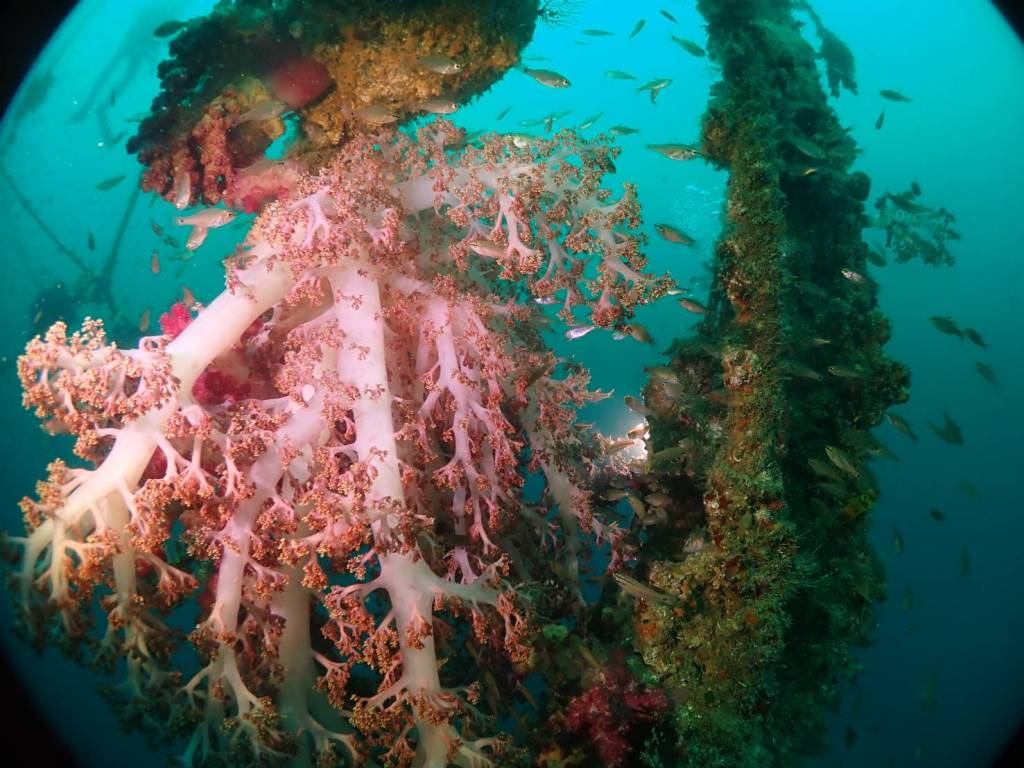 ドライTシャツ完成