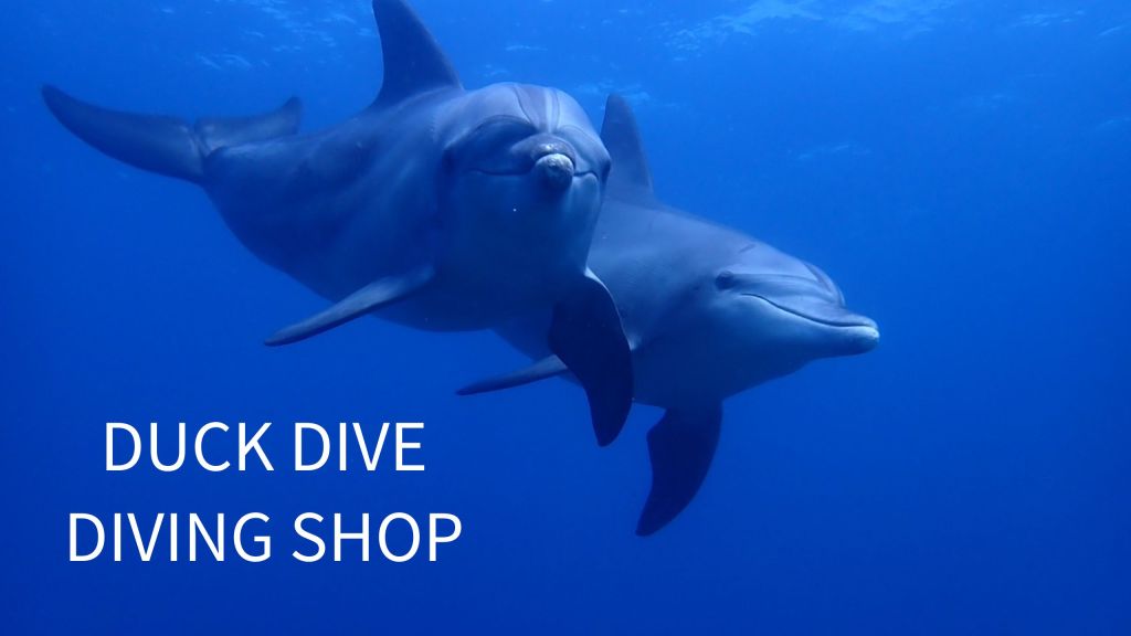 波左間３ボート・鵜原１ビーチ１ボート