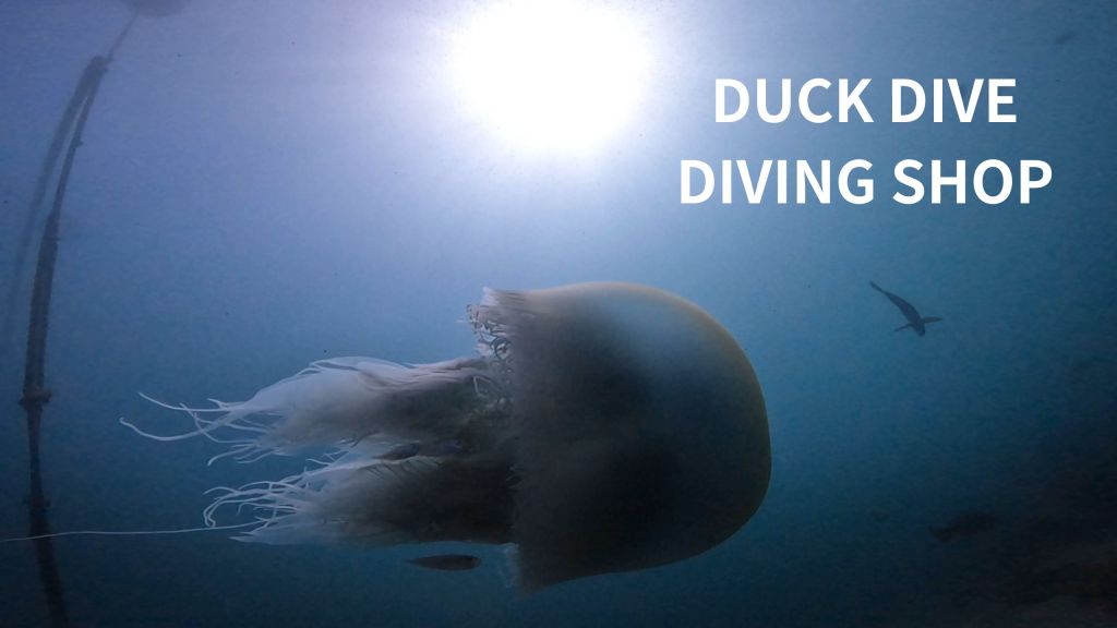 かっちゃま２ボート