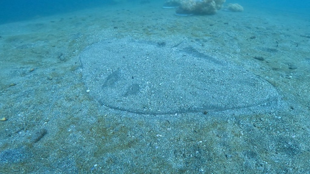 かっちゃま２ボート　鵜原体験ダイビング