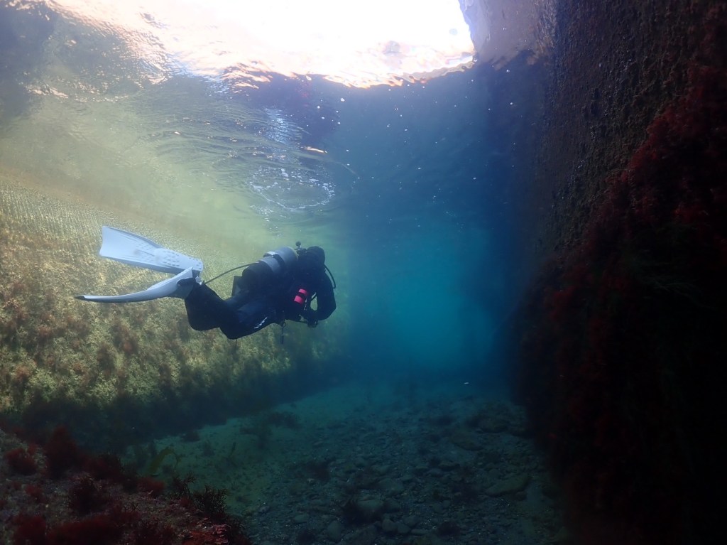 天気良いのに。