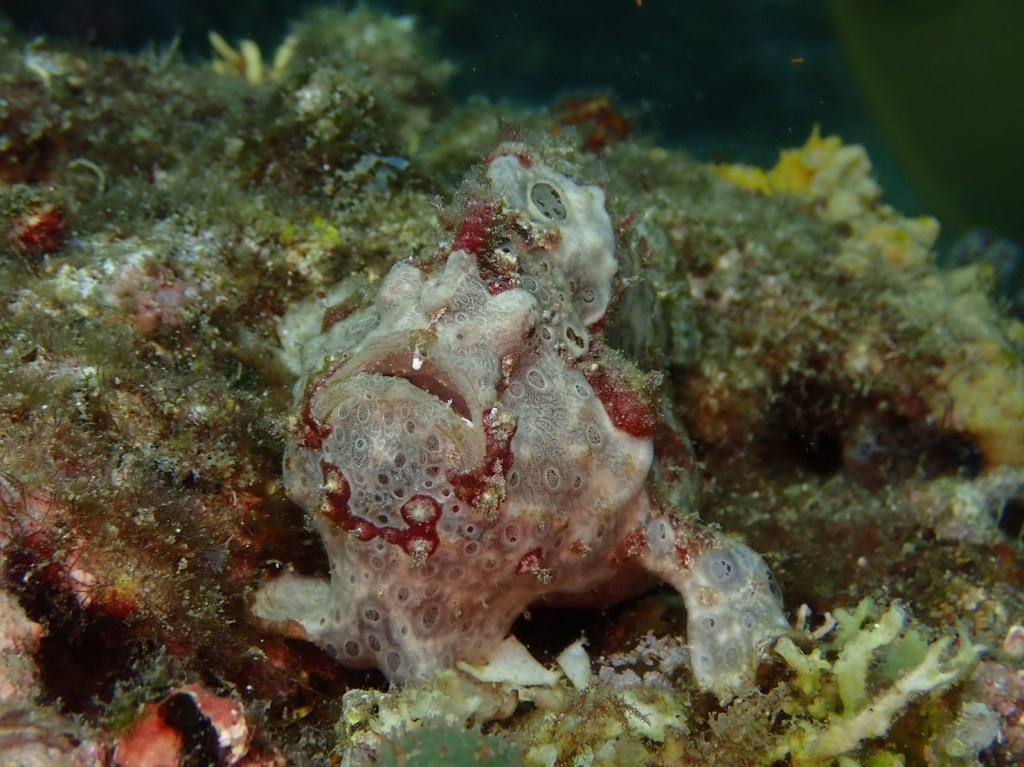 かっちゃま３ボート