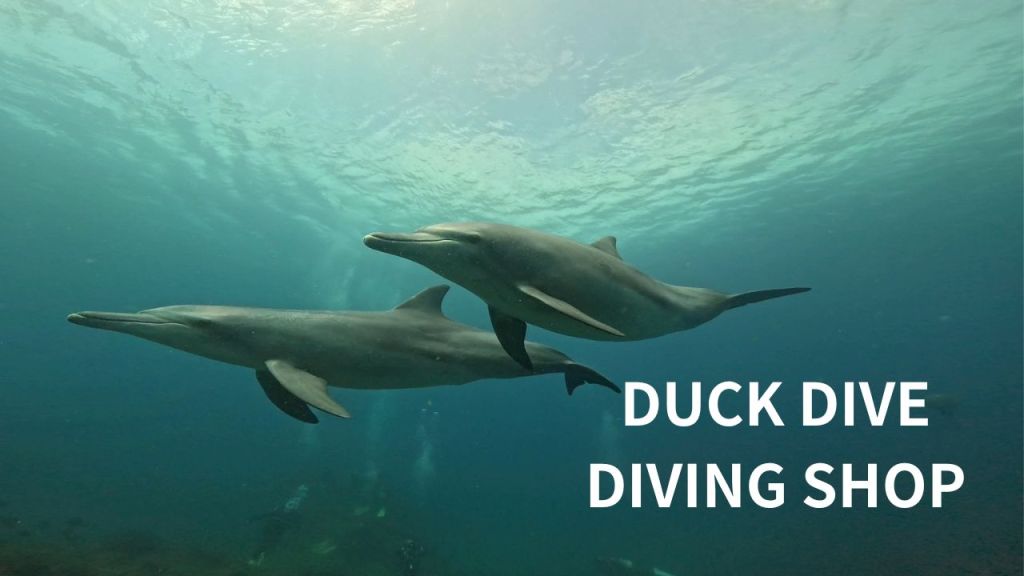 波左間３ボート