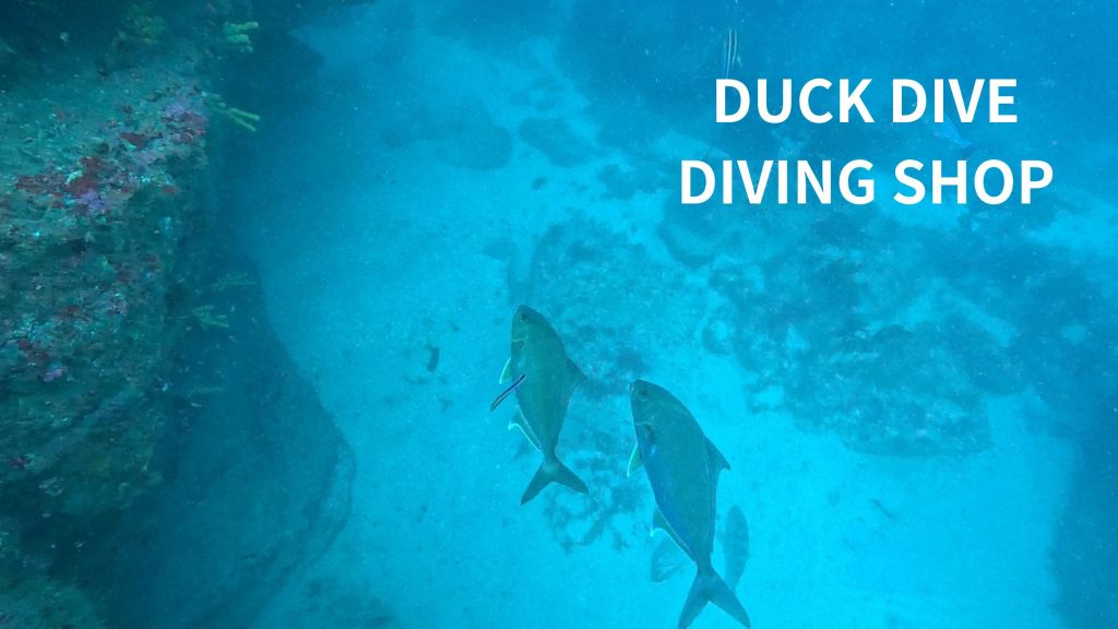 鵜原1ビーチ１ボート