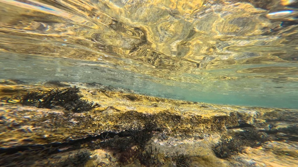 鵜原・シュノーケリング