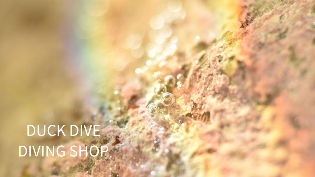 勝浦鵜原ビーチ