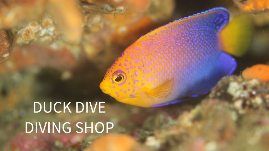 勝浦鵜原１ボート１ビーチ