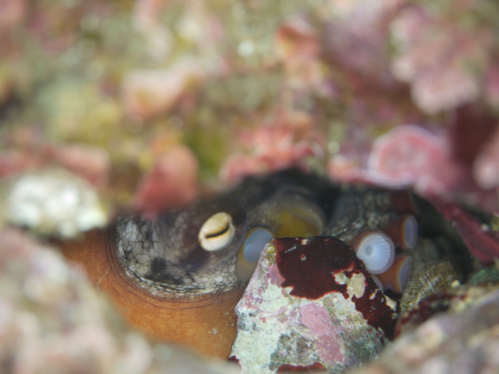 またまた風強い