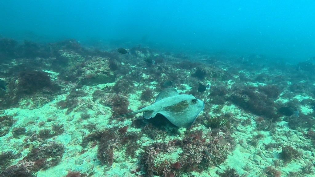 勝浦鵜原２ビーチ