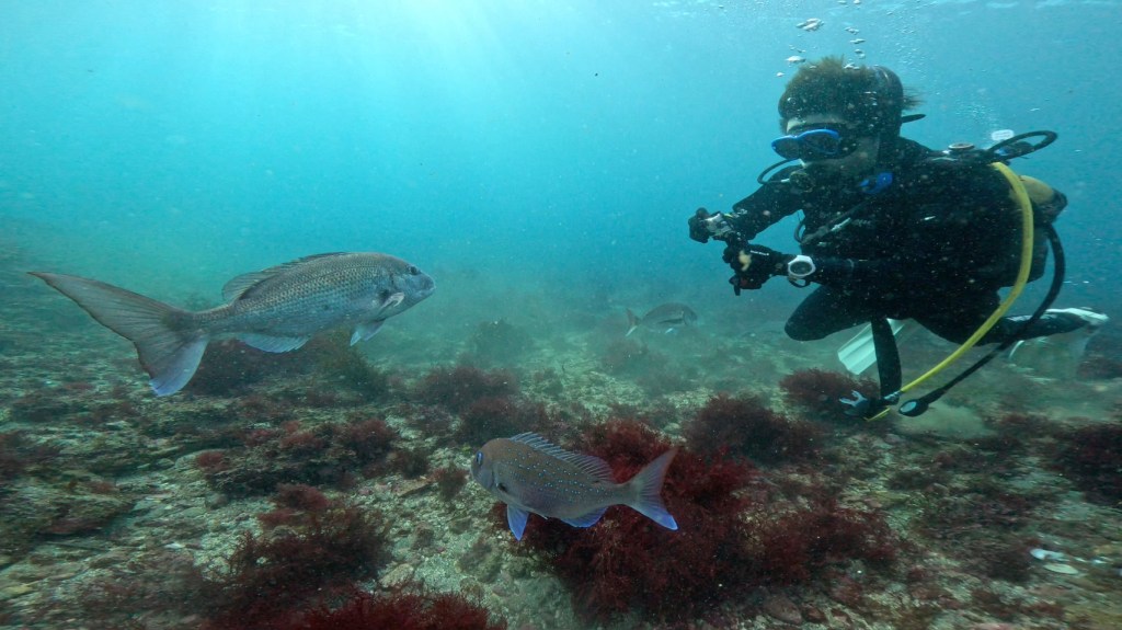 勝浦・鵜原１ビーチ１ボート