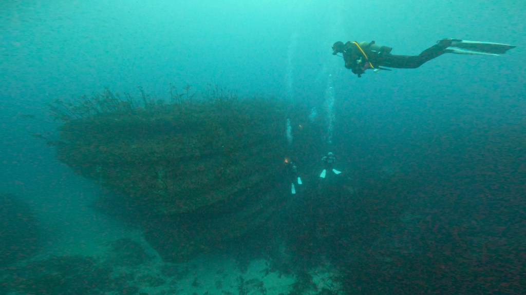 勝浦・鵜原１ビーチ１ボート