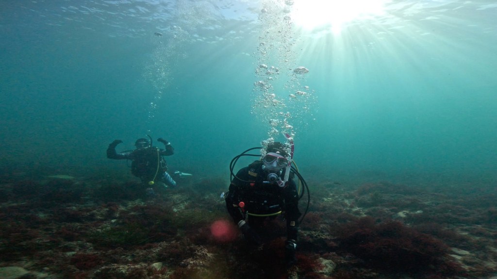 勝浦・鵜原2ビーチ