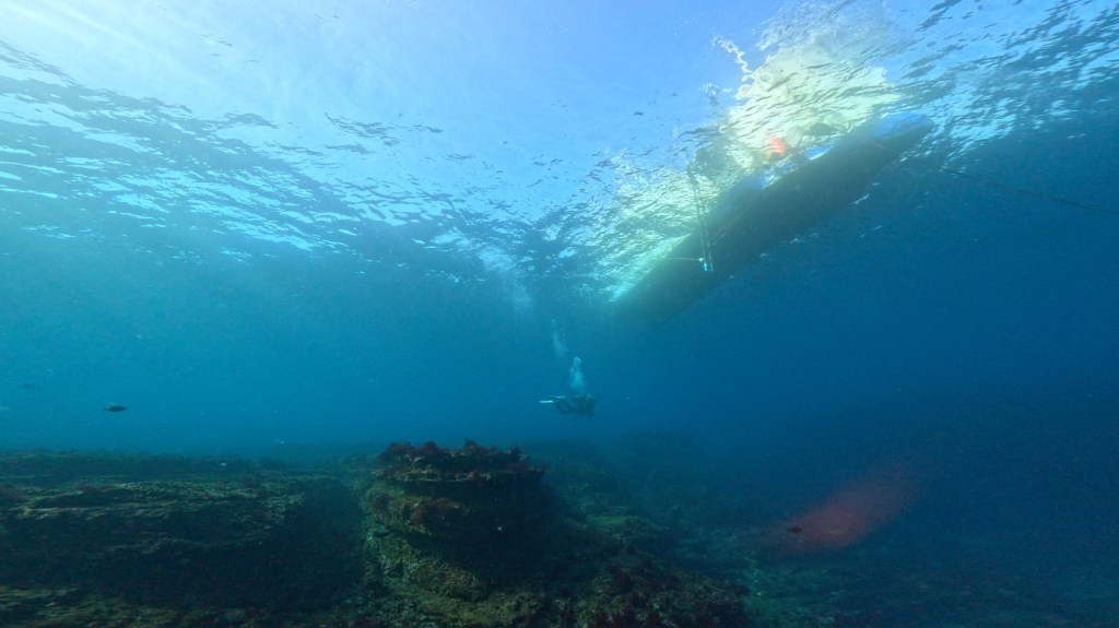 勝浦・鵜原　ダイビングポイント紹介