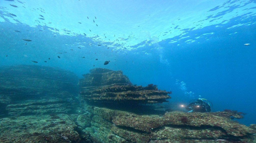 勝浦・鵜原2ボート