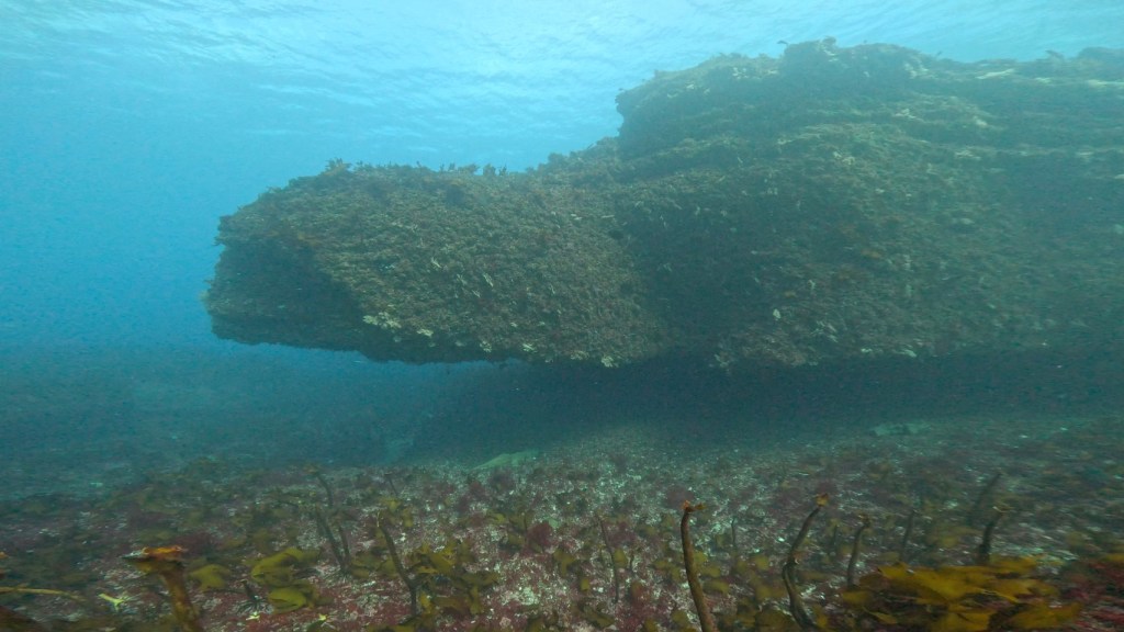 勝浦行川・ボート