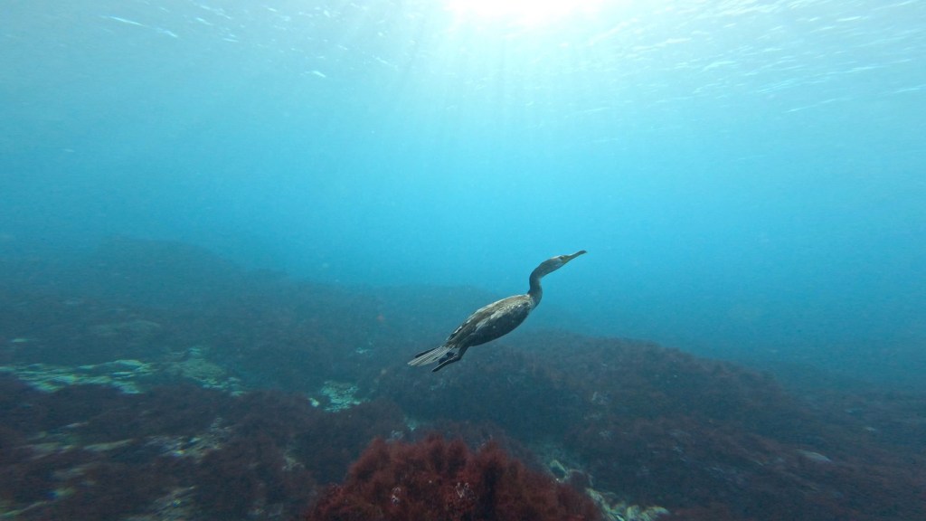 西川名・視察会
