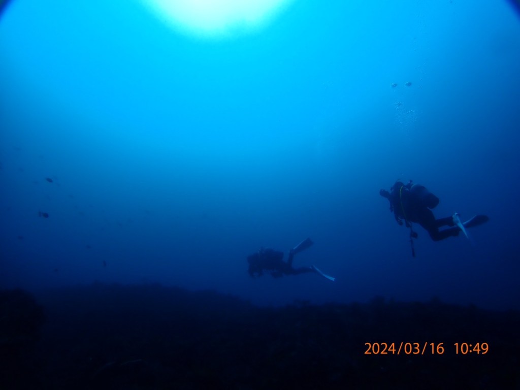 のんびり潜ってきました。