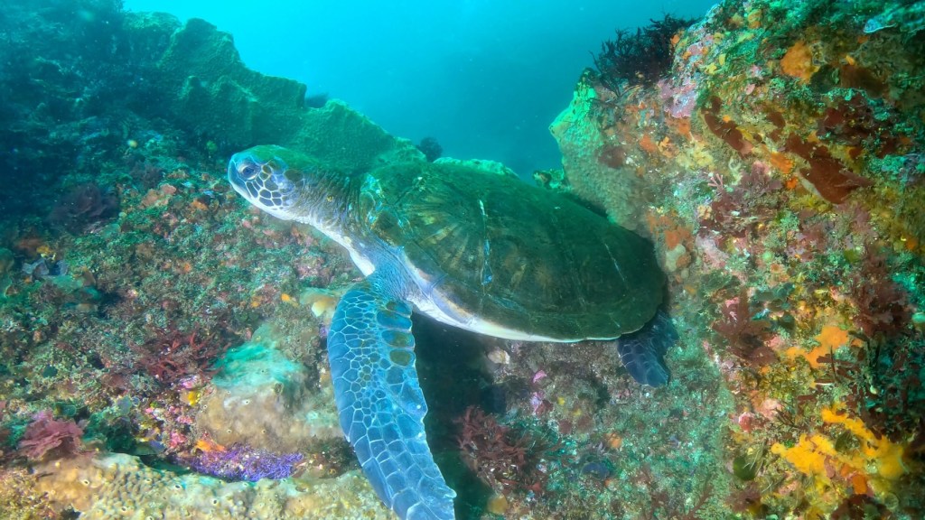 ２ボート・ワイド狙ってきました