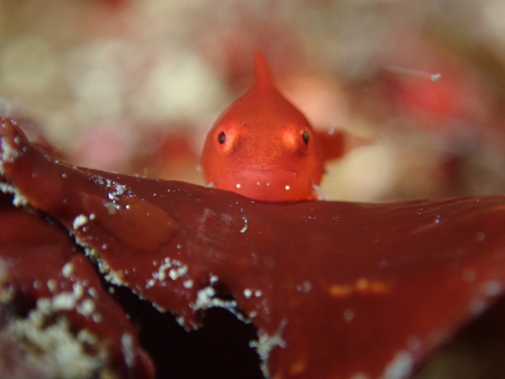2ボート・風が吹く前に。