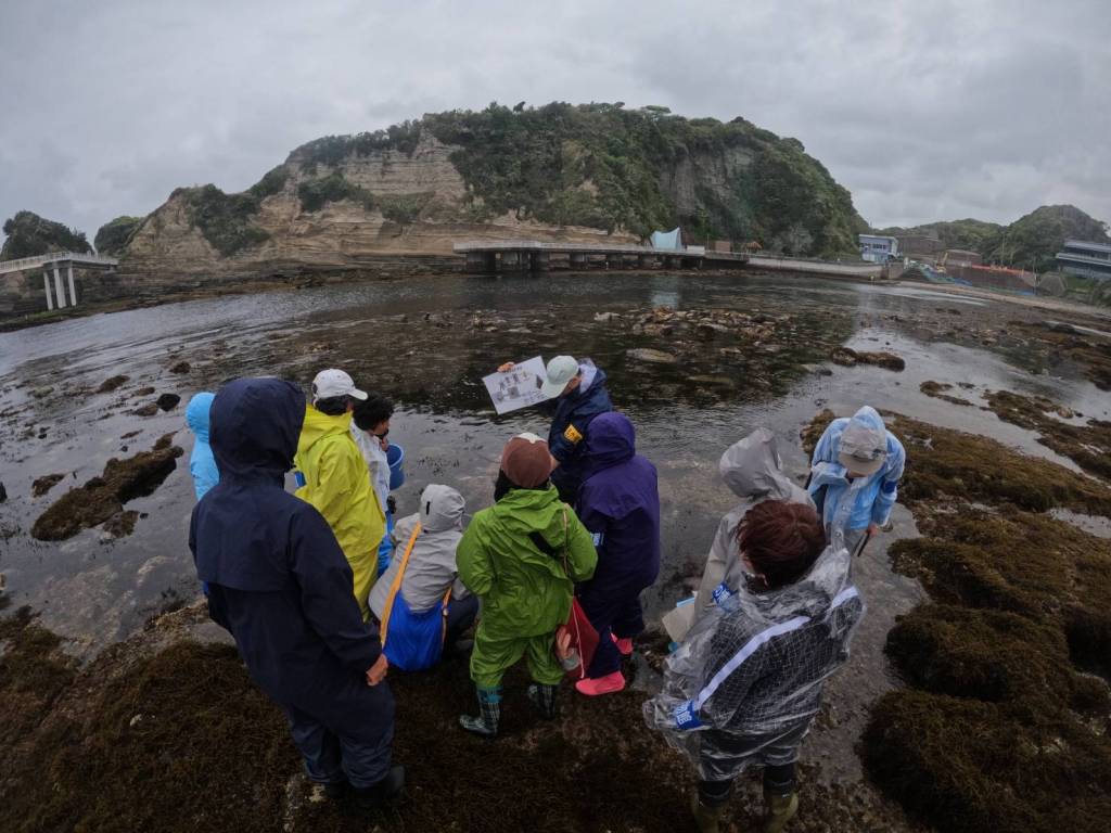 海藻・磯観察会に参加してきました。