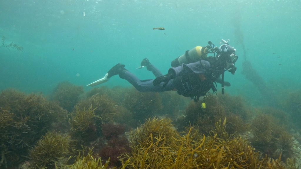 2 ビーチ・スキル練習でしたー。