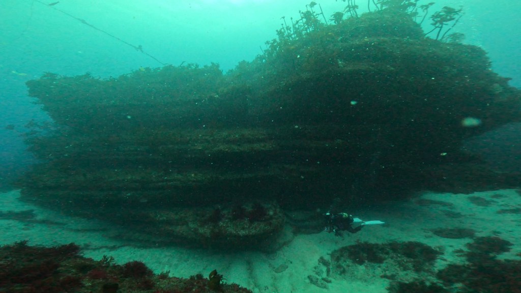 2ボート・スコーンと抜けた勝浦ブルーでした！！