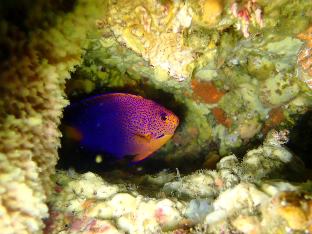２ボート・変化がある一日でしたー。