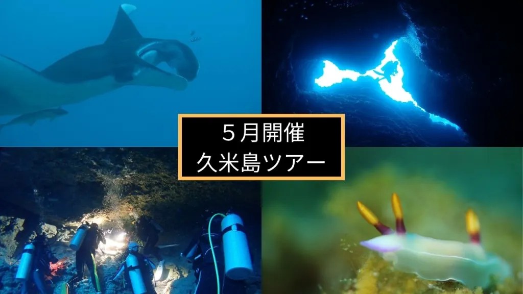 今日から久米島ツアー開催