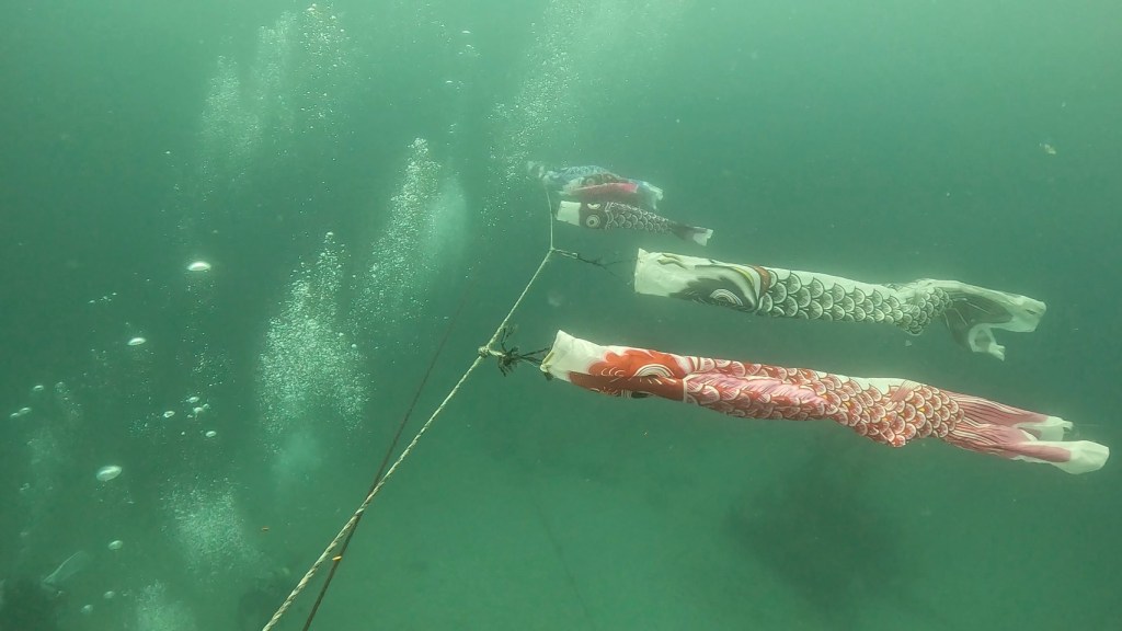 ２ボート・今日もイルカと遭遇です。