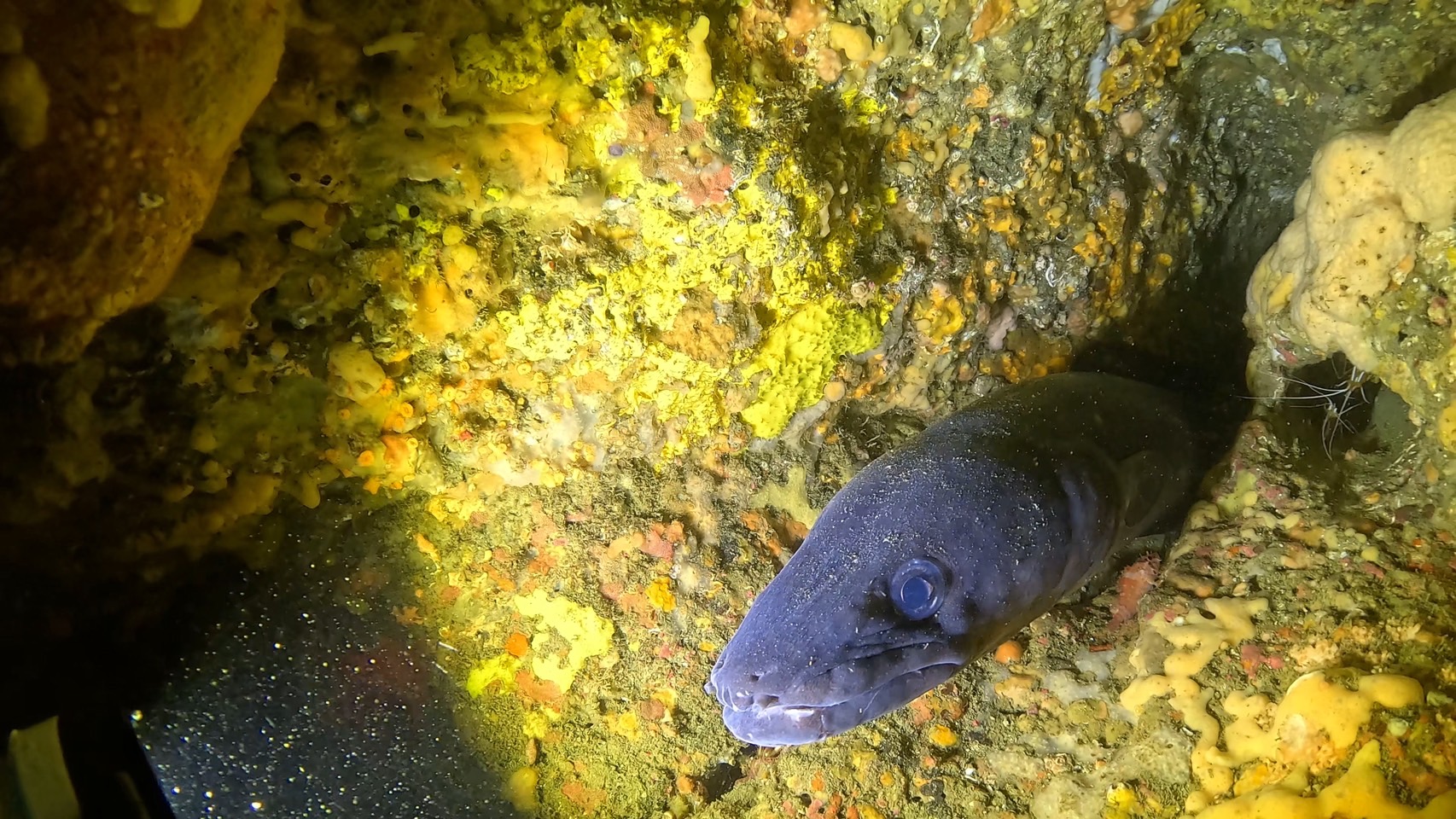２ボート・マグロ根で回遊魚当たり。