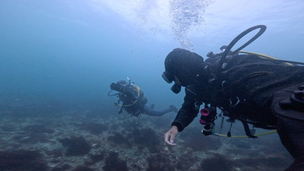 2ビーチ・浅場で浮力コントロール