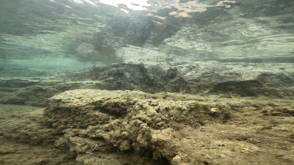 メンテナンスday