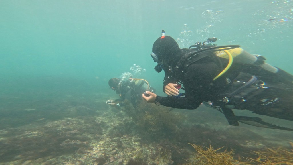 ２ビーチ・レスキュー講習