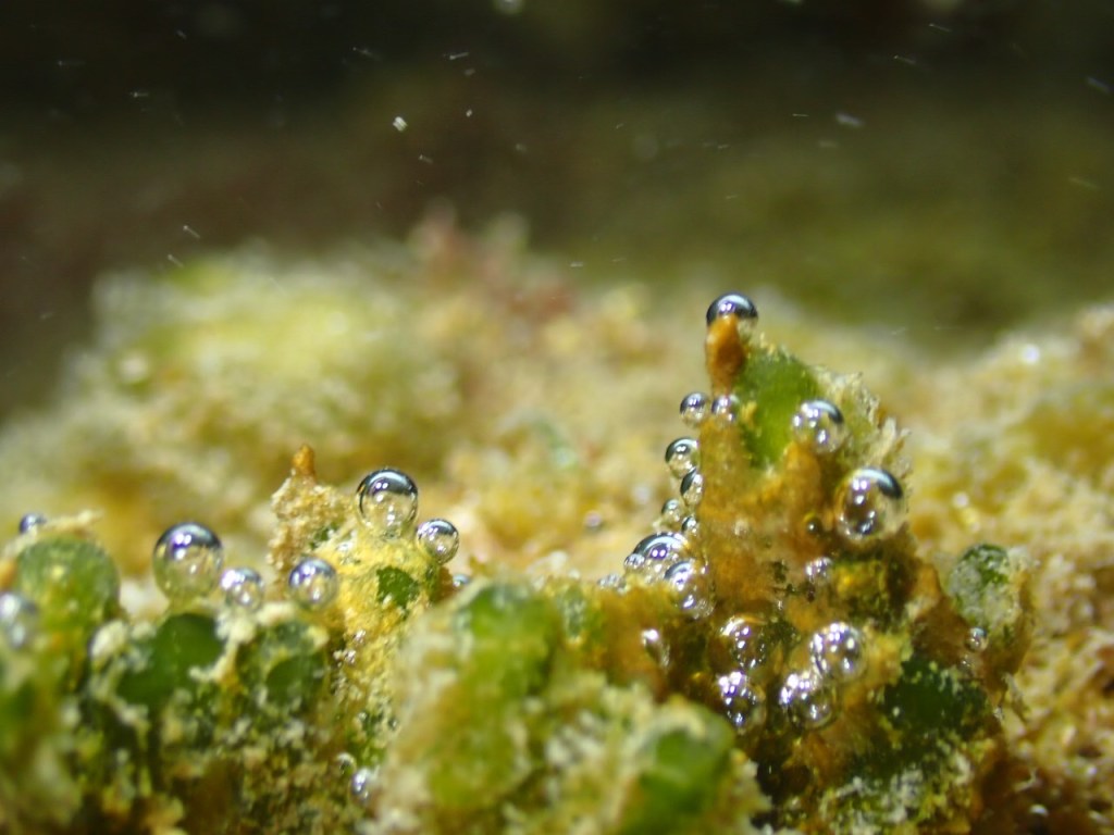 ３ビーチ・体験ダイビング　少しずつコンディションが良くなってきた。