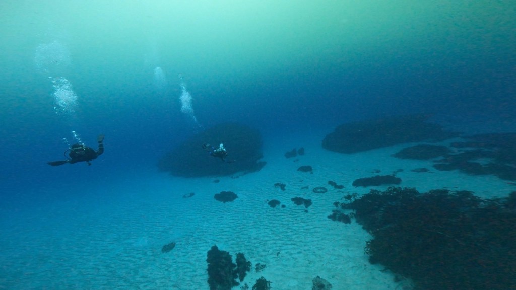 ２ボート・勝浦ブルーきました！