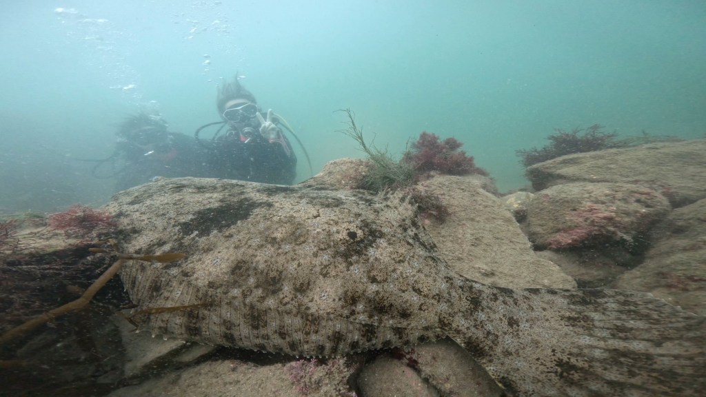 ３プチボート　靄が目立つ