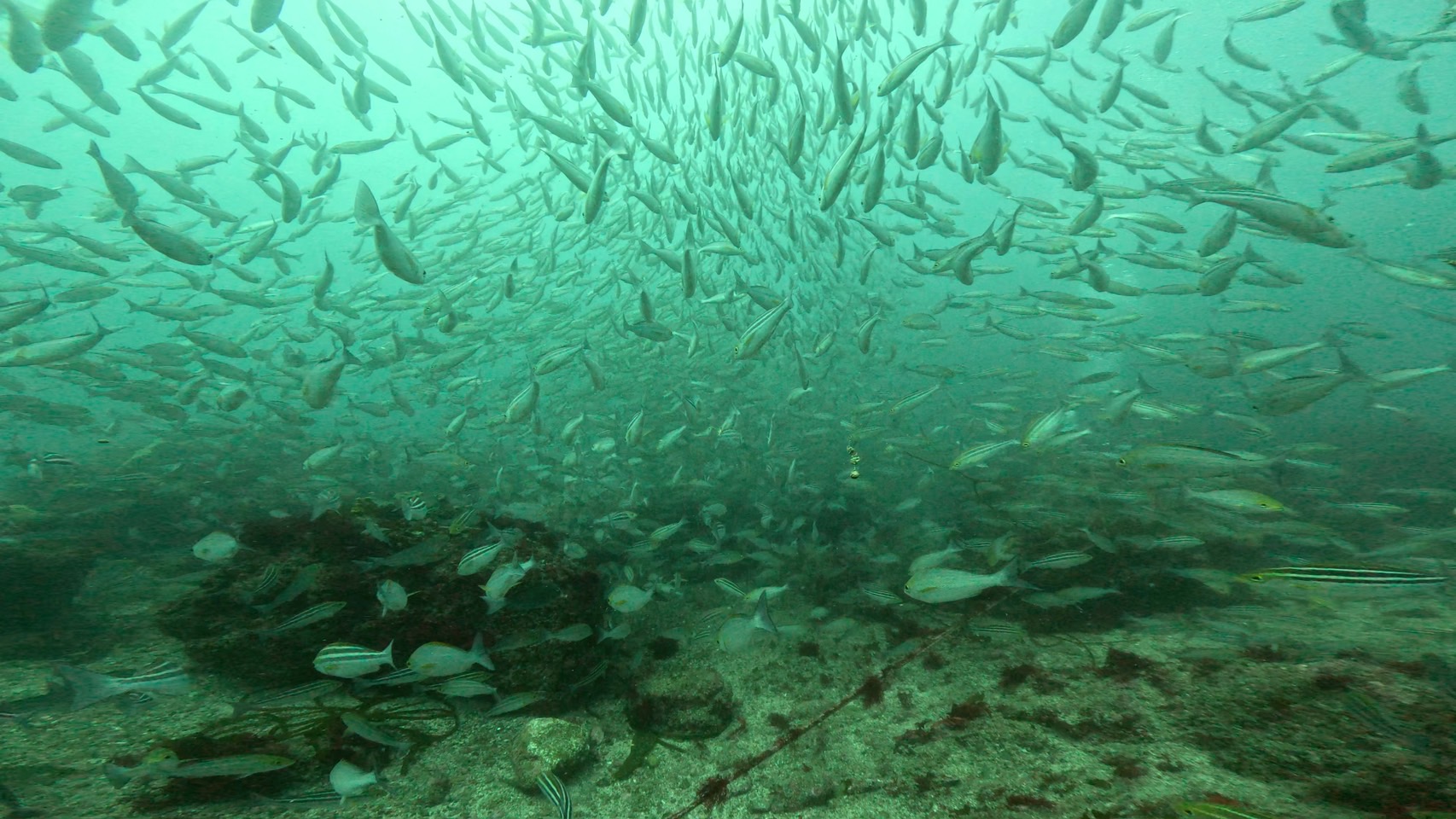3ボート　魚影な1日