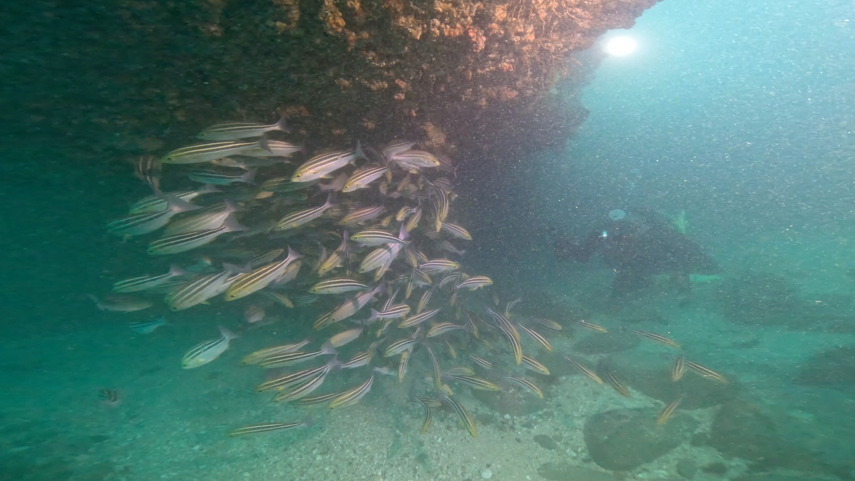 FUNDIVE2ボート2ビーチ　夕方作業潜水