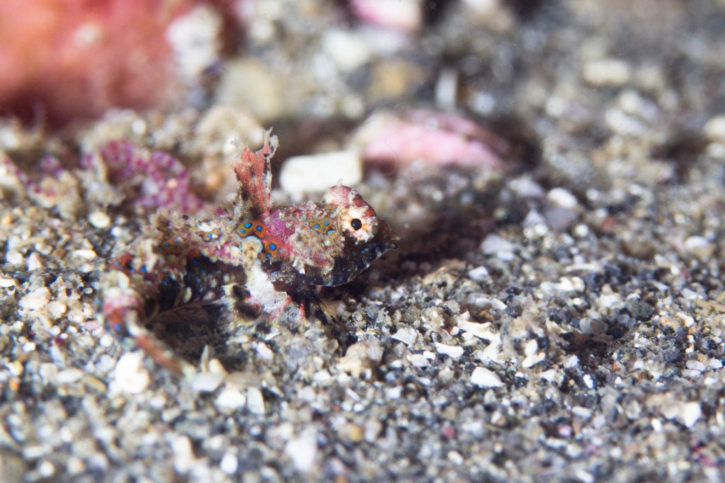 昨日と今日のブログです。